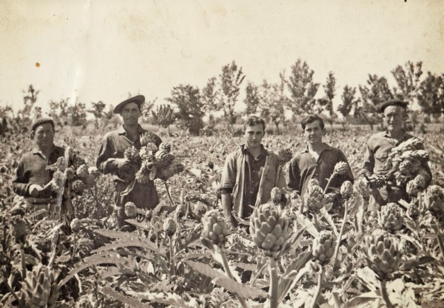 Vecinos de la Vega Baja (fuente: blog www.almoradi1829.blogspot.com. )