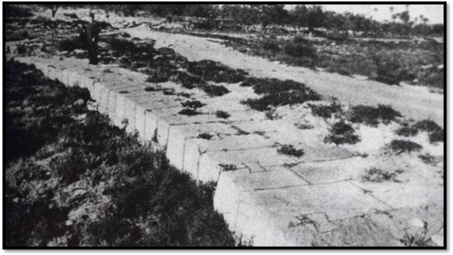 El mollet de la Albufereta