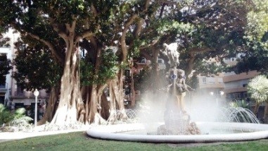 Estatua La Aguadora y ficus. Plaza de Gabriel Miró (Alicante)